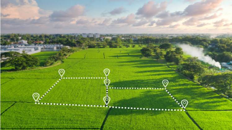 How Bhulekh Helps in Verifying Land Ownership Before Property Purchase